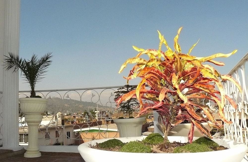 Cocoyotla Boutique Hotel and Hostel