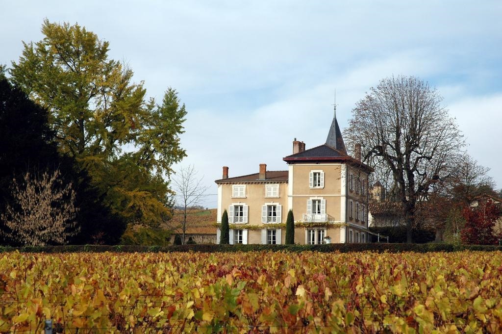 Chateau De La Flechere