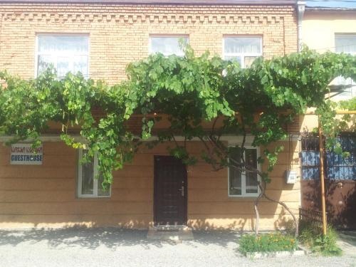 Edelweis Guest House