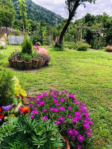 Dreamland Lagodekhi & Wine Cellar