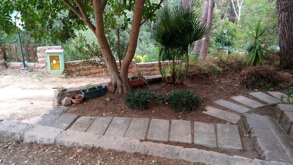 Green House-Woods And Beaches