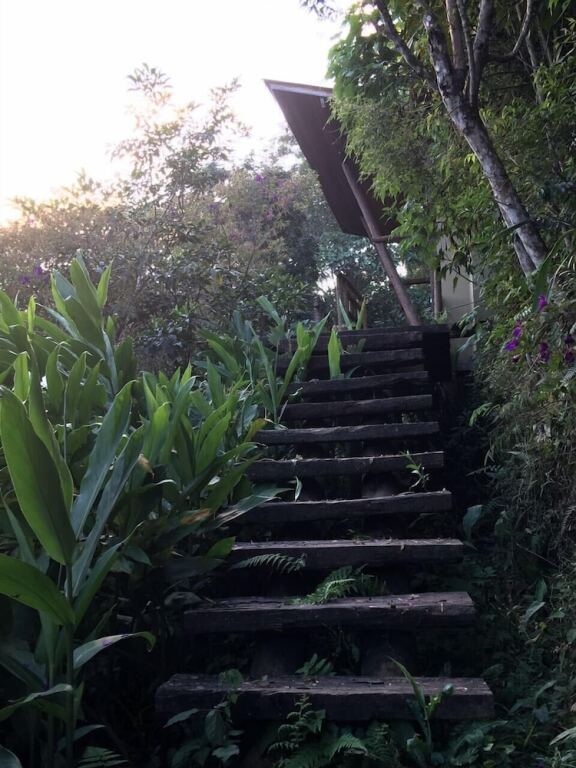 Chales Da Piscina Natural