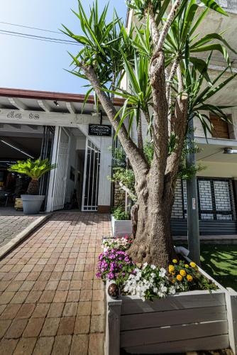 Corleone Guesthouse
