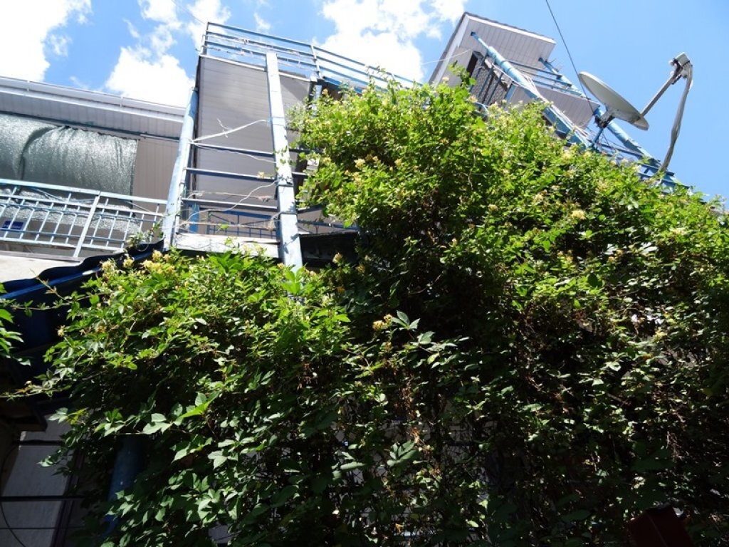 Belaya Chajka Guest House