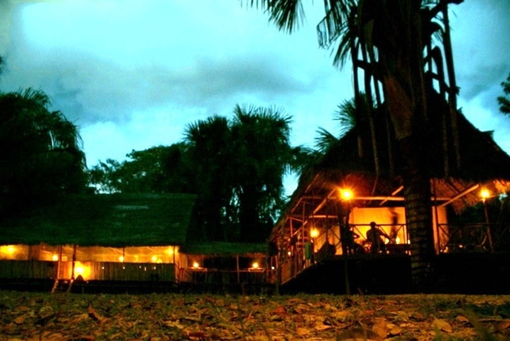 Ecological Jungle Trips