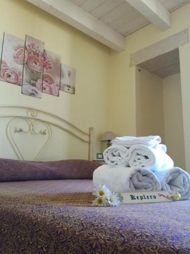 La Stella Di Keplero