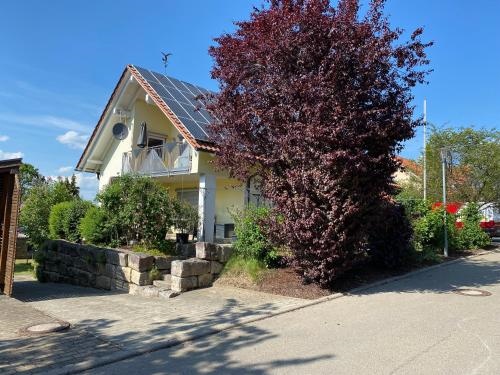 Ferienwohnung Meßmer