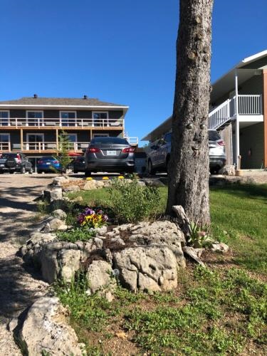 Escarpment Heights Motel