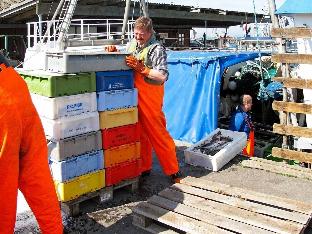 Classic Apartment In Zealand With Terrace
