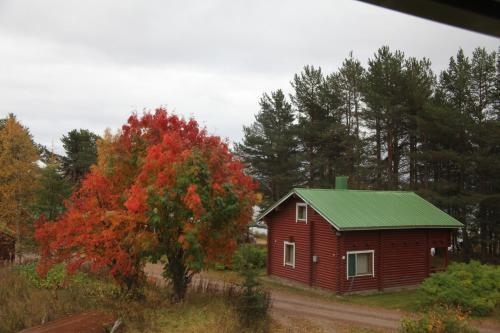 Hostel Kemijarvi