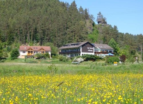 Cafe Pension Krems