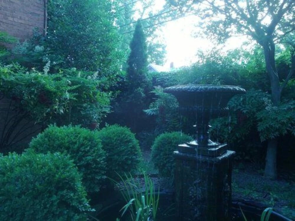 Garden Oasis Near Downtown