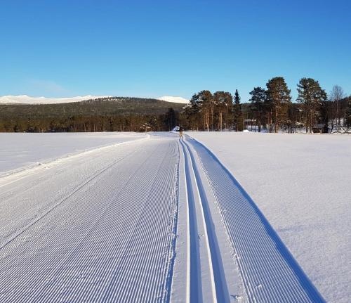 Hotell Gyllene Bocken