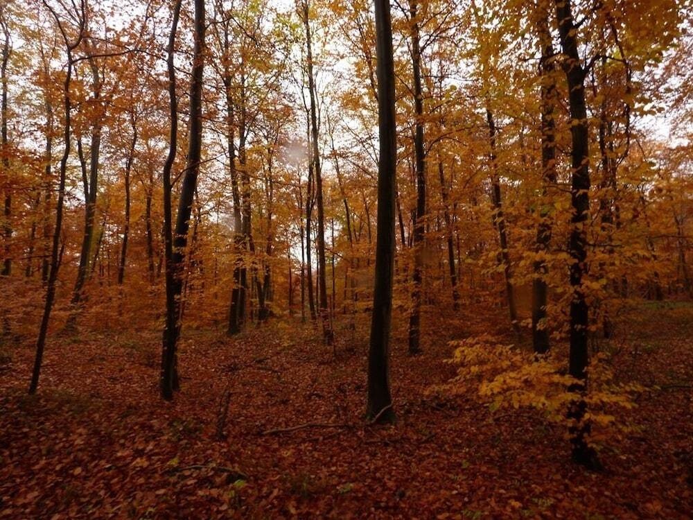 Les Hauts De Pierrefonds