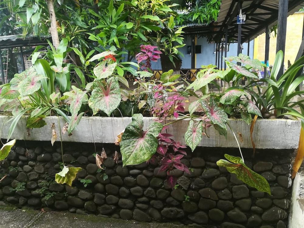 Hotel Y Restaurante Paradise