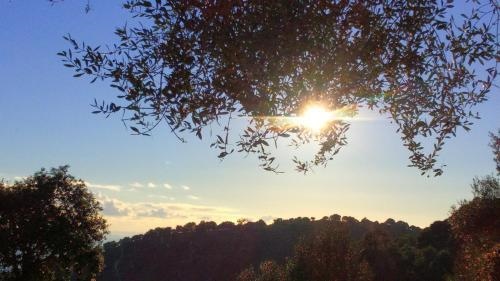 La Pampa Cargese Chambres d hotes