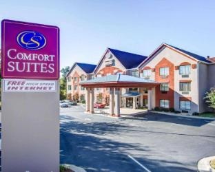 Comfort Suites Northside Hospital Gwinnett