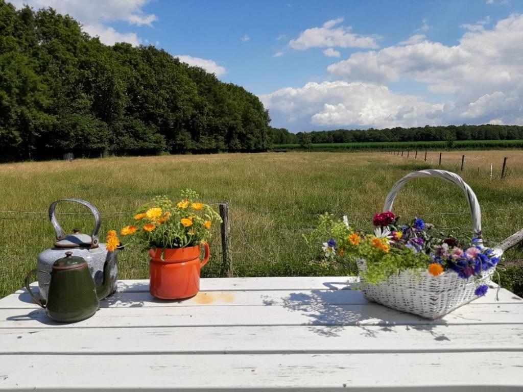 Boerderijkamer Korenbloem