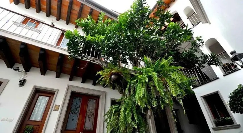 Hotel En Xalapa Posada De Las Flores