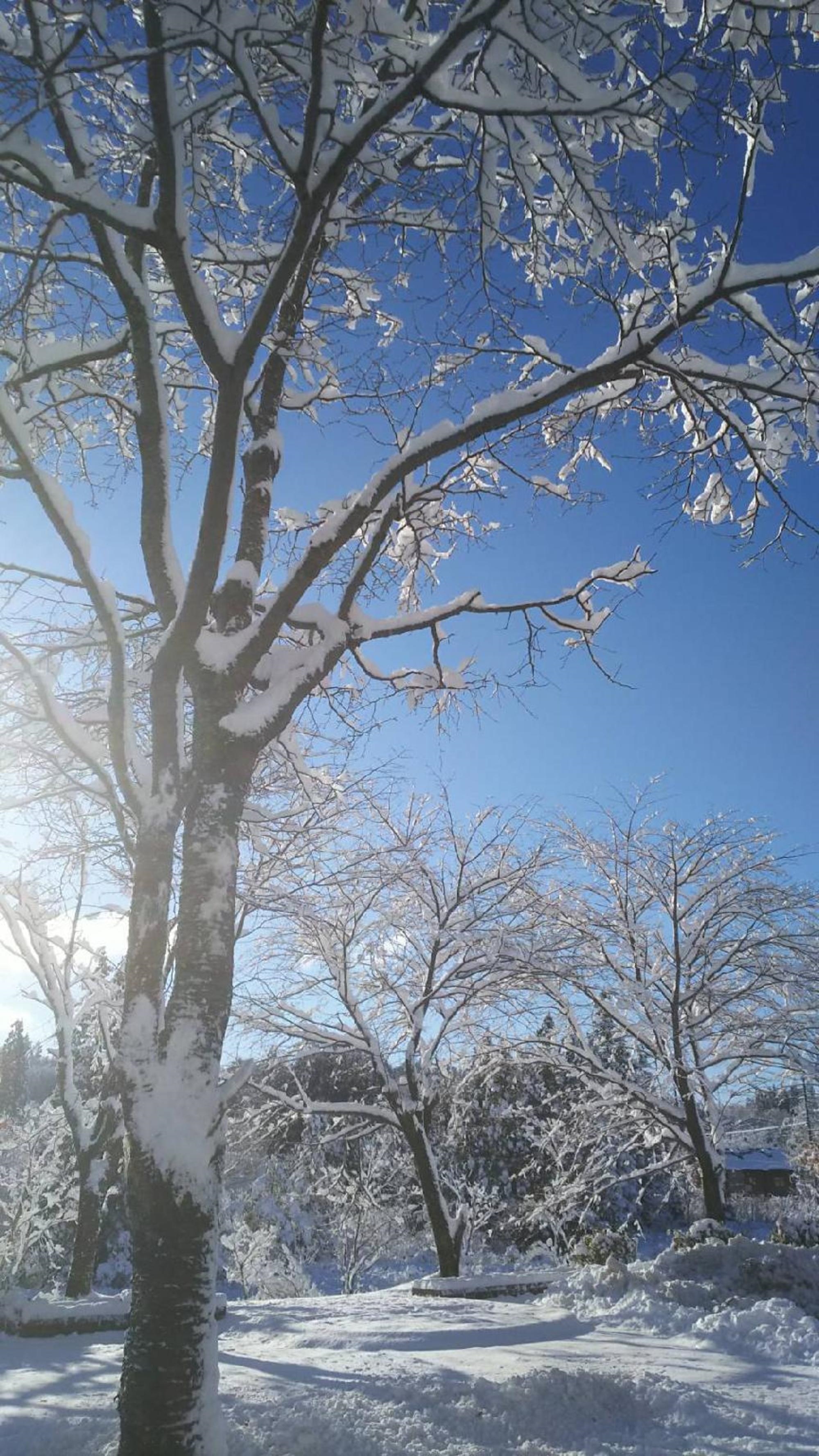 Hiruganokogen Minshuku Okuraya