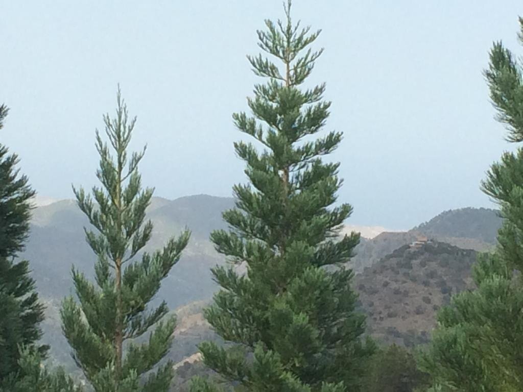 Health Habitat Hotel & Slimming Resort