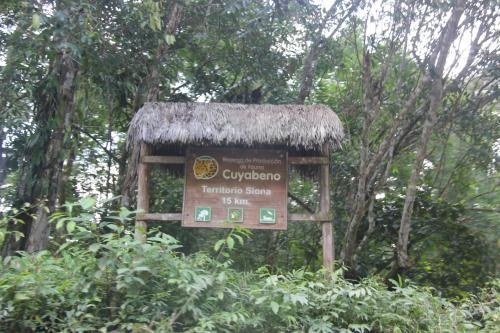 Green forest Ecolodge