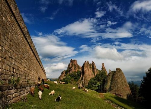 Guest House & Bistro Castle Cottage