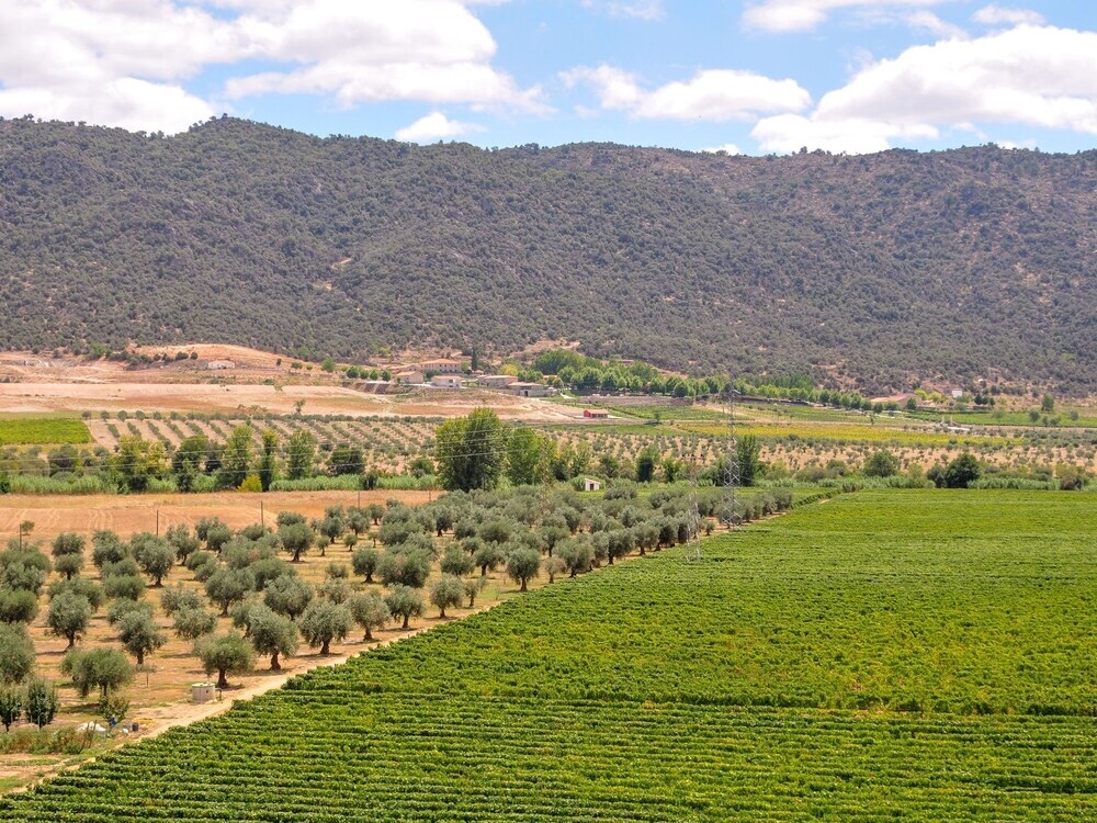 Holiday Home On Estate With Vineyards, Olive Groves And Swimming Pool