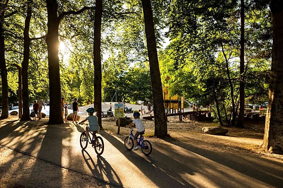 Rcn Het Grote Bos
