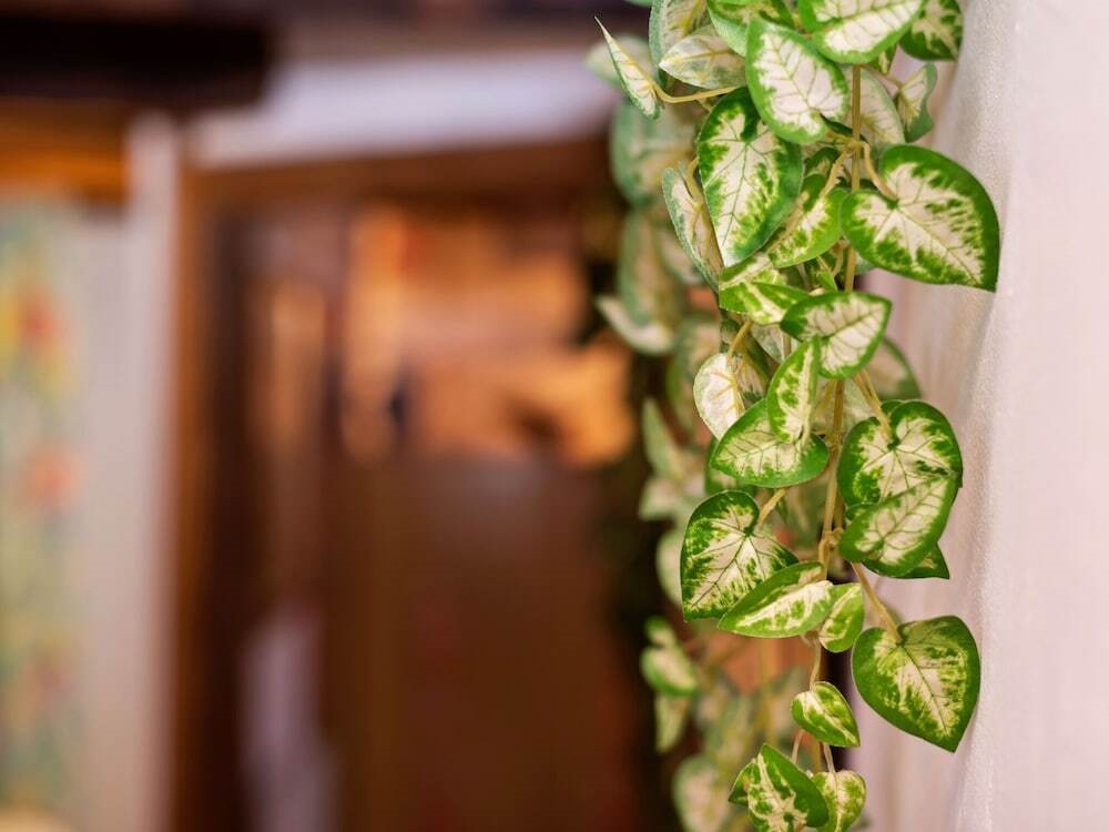 Lovely Holiday Home In Montaner With Patio