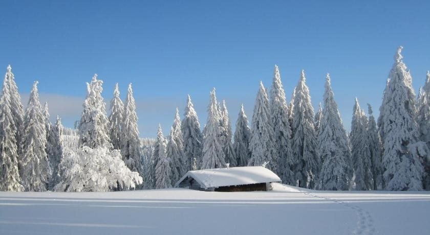 Ferienwohnungen Moosbach