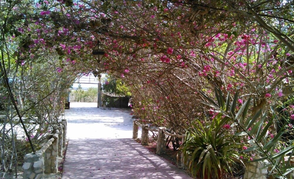 Le Campement Calao Du Lac Rose- Glamping