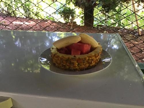 Isla Violin Eco Lodge