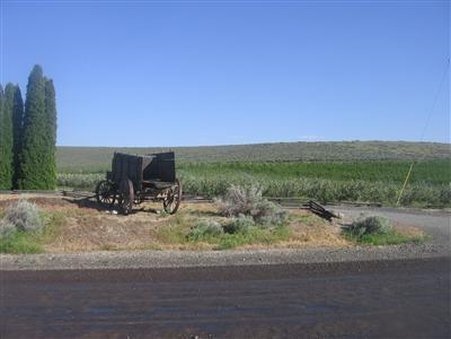 Hawk Haven Guest Houses