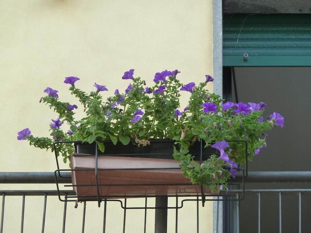 La Casa Delle Ortensie