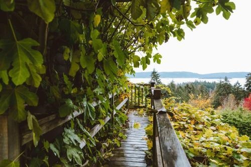 Morningside Garden Suite