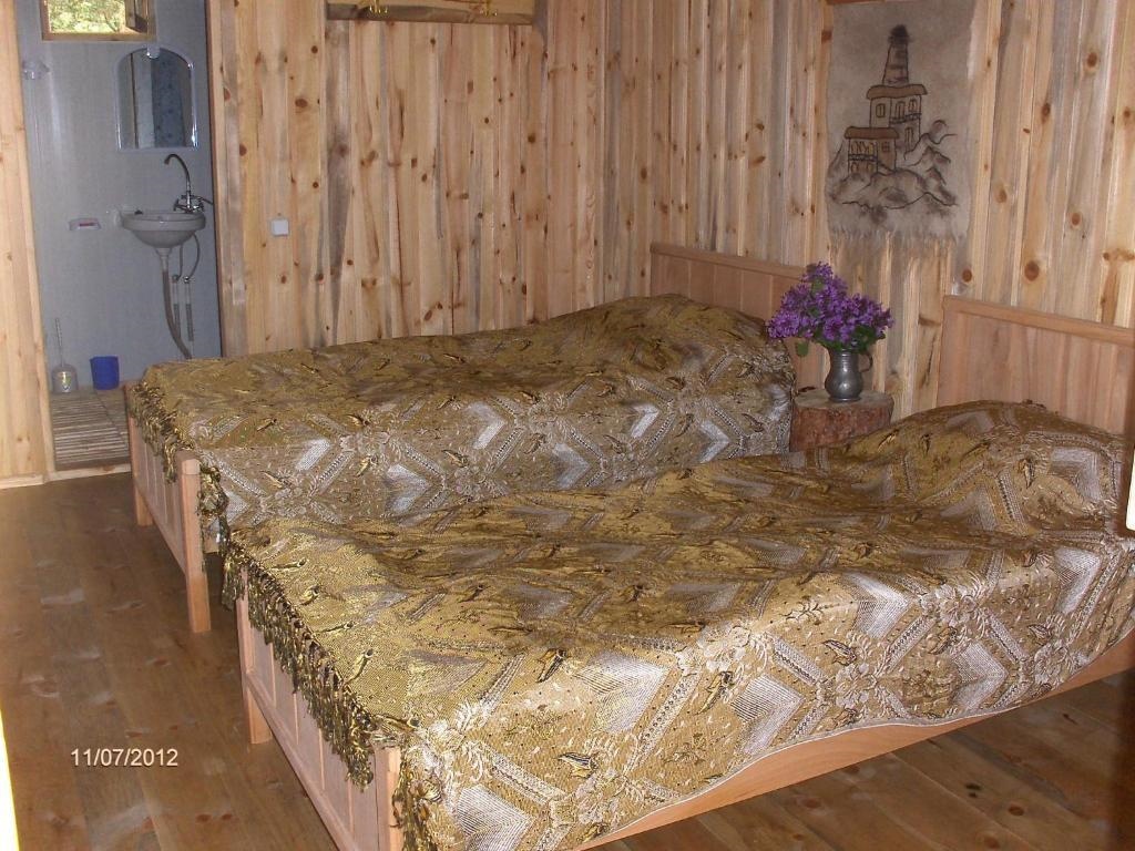 Guest House Mirgvela