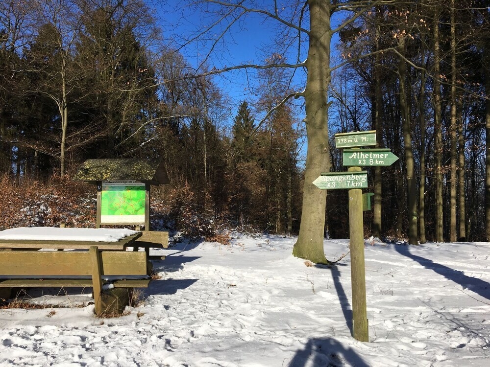 Family-Friendly Holiday Home In Alheim-Obergude With Garden