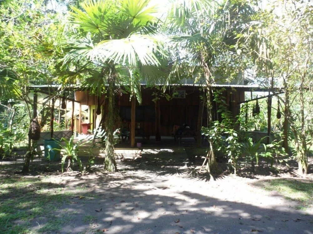 Green Gold Ecolodge