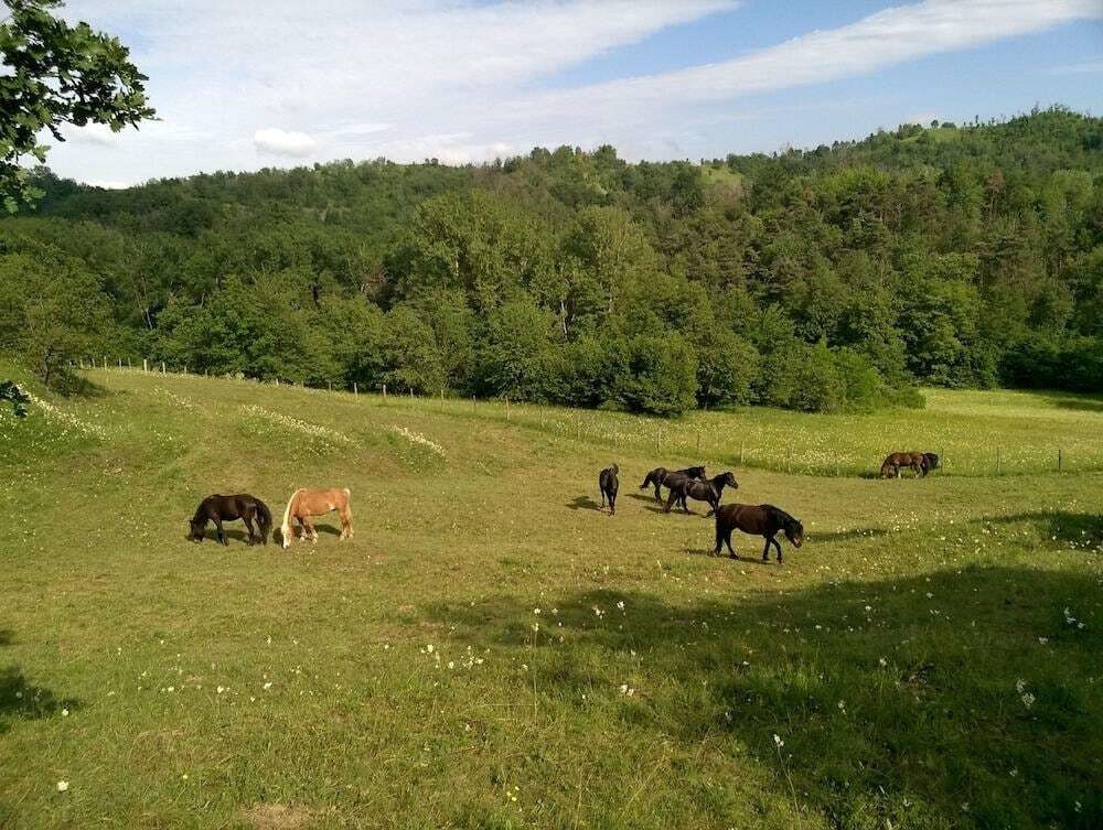 La Ratatouille Agriturismo