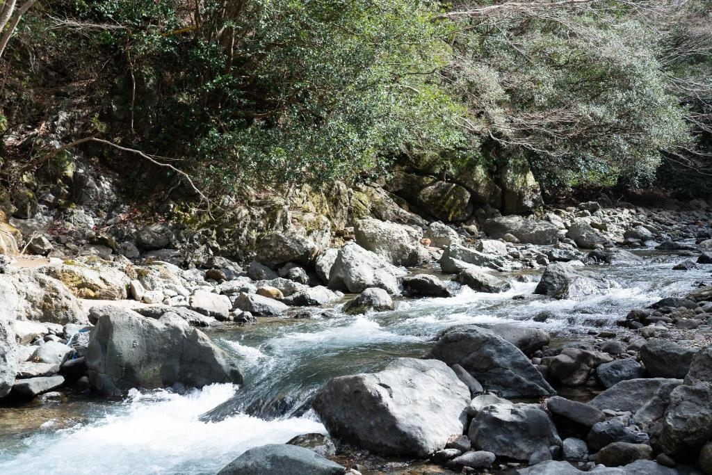 Lodge Mondo - Hostel