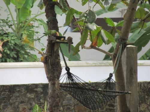 Jasmine Resort Thalalla