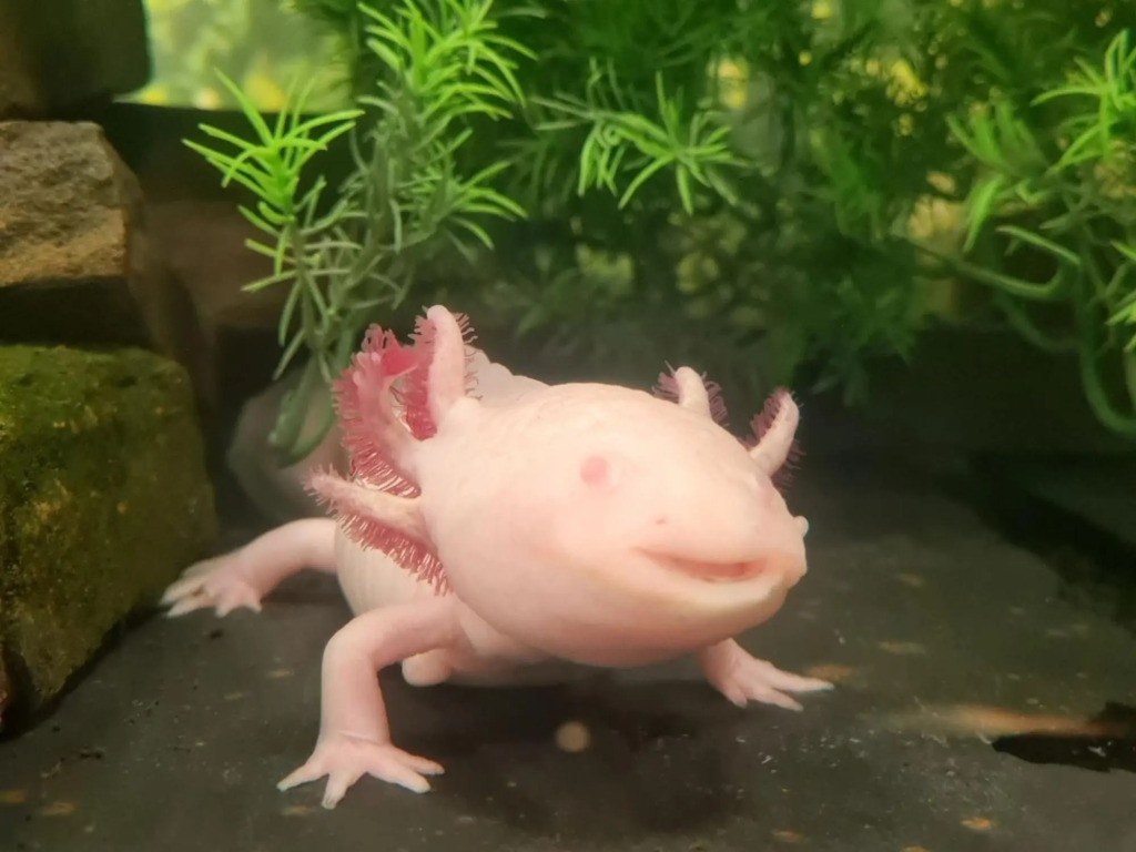 Express Holiday Inn Swansea M4/J43