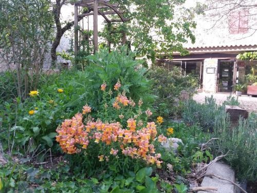 Hôtel Mas De L'espaïre