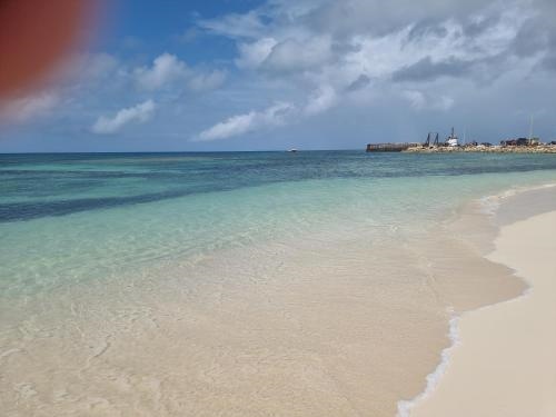 Harrys Cottages Cottage 5 Right On The Pink Sand