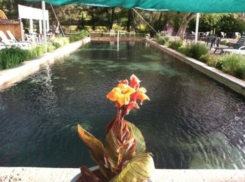 Lava Hot Springs Inn