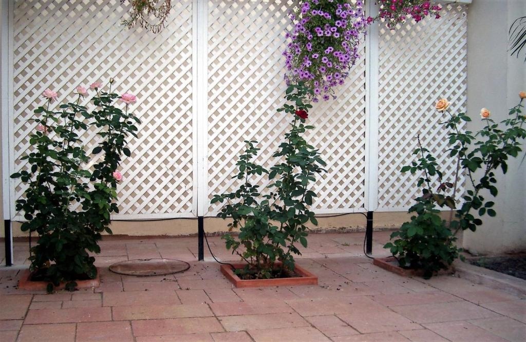 'The Rose' Business Travelers