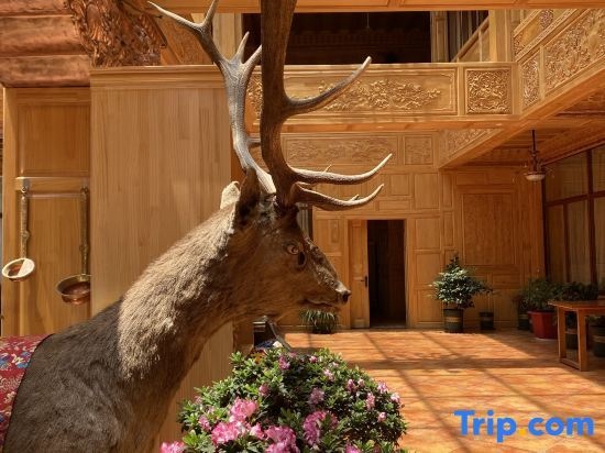 Duomei Linka Guesthouse