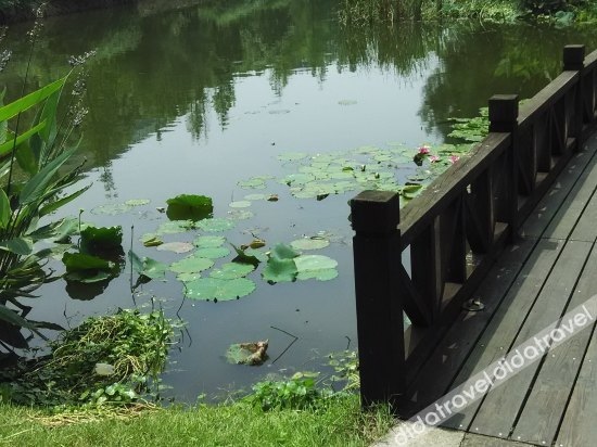 Putuo Mountain Shanyuan Xiaozhan Inn
