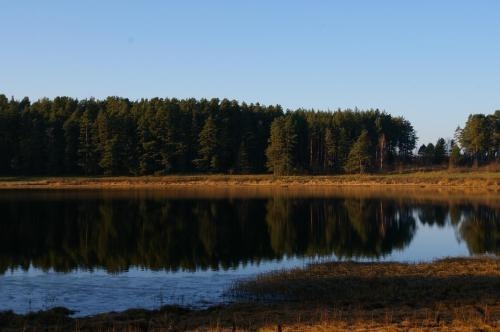 Pushkinskie Gory Comfort Apartment